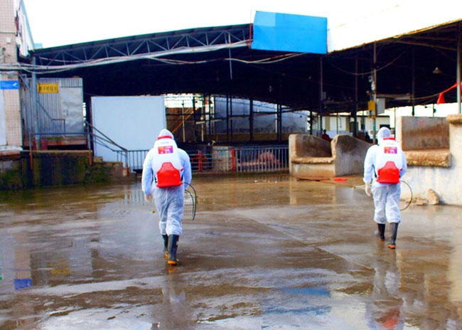 迈安达消毒设备有效解决畜禽养殖场消毒问题